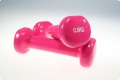 Hantel-Set f�r Damen 2 x 0,5 kg, pink